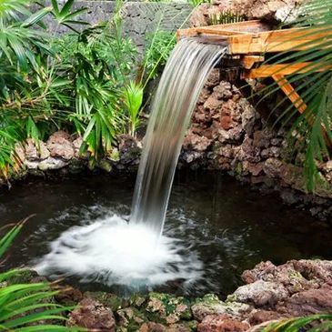 4 Seasons Landscaping & Maintenance photo 5