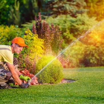 4 Seasons Landscaping & Maintenance photo 3