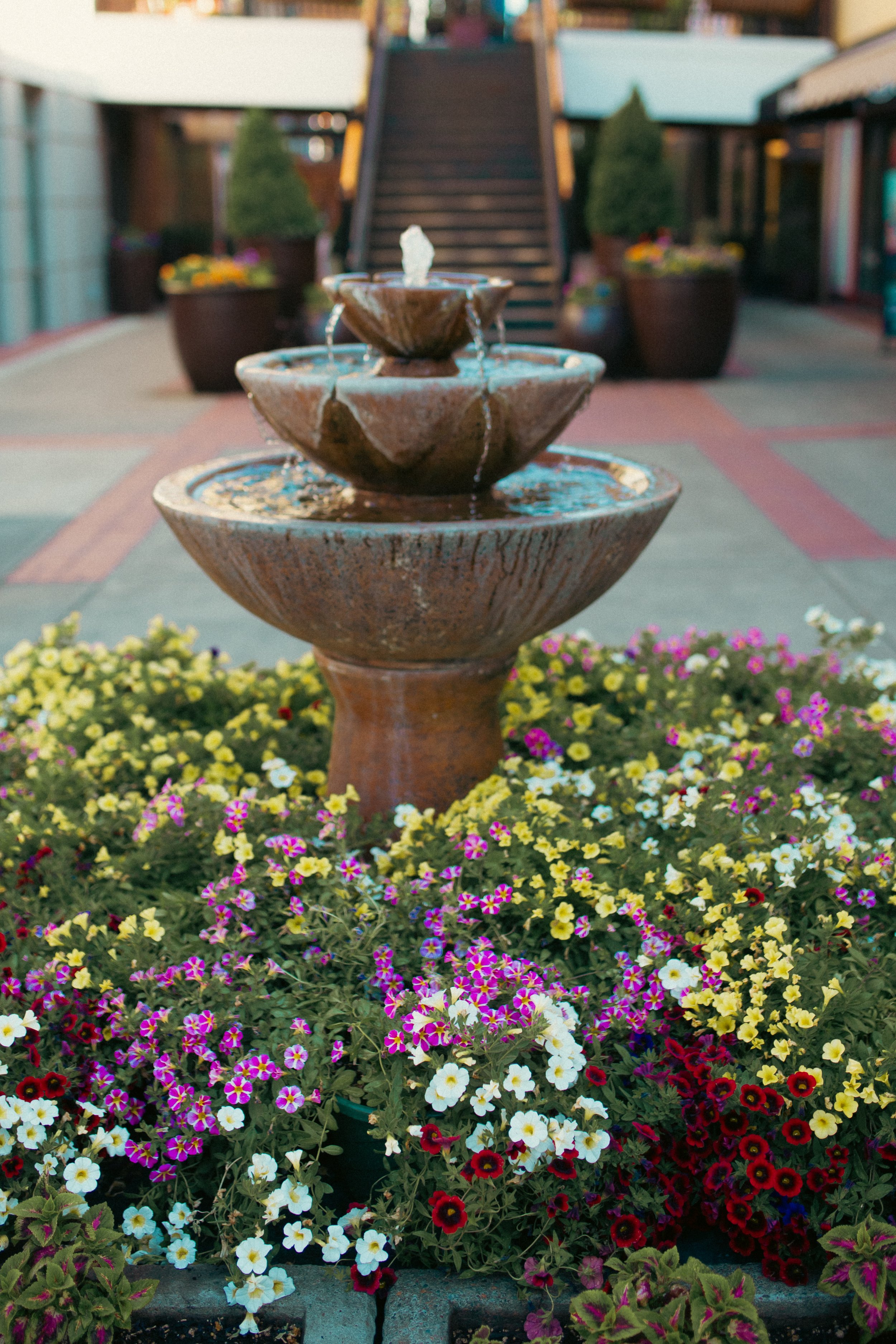 5th Street Public Market photo 3