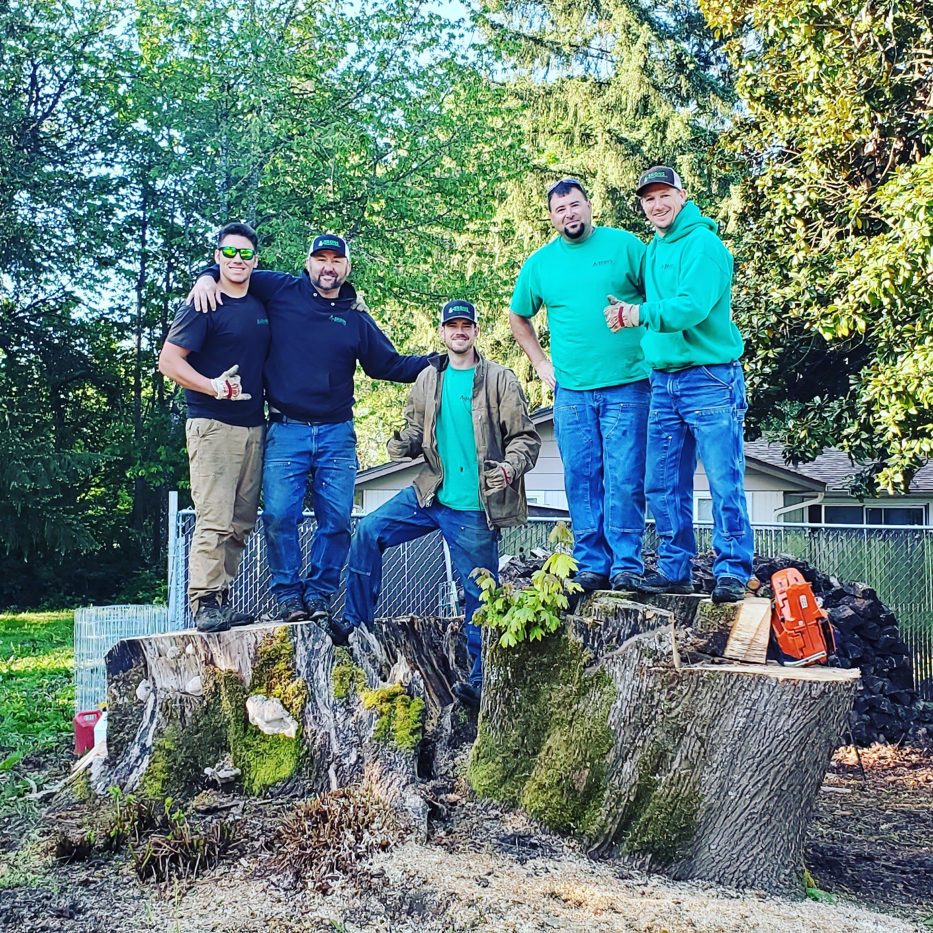 A-1 Ron’s Tree & Stump Removal photo 12