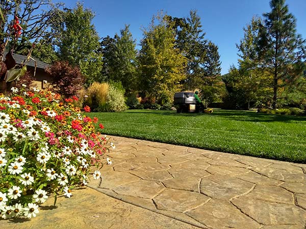 A & K Landscaping photo 6