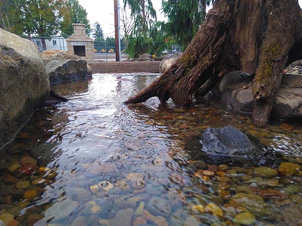 A & K Landscaping photo 8