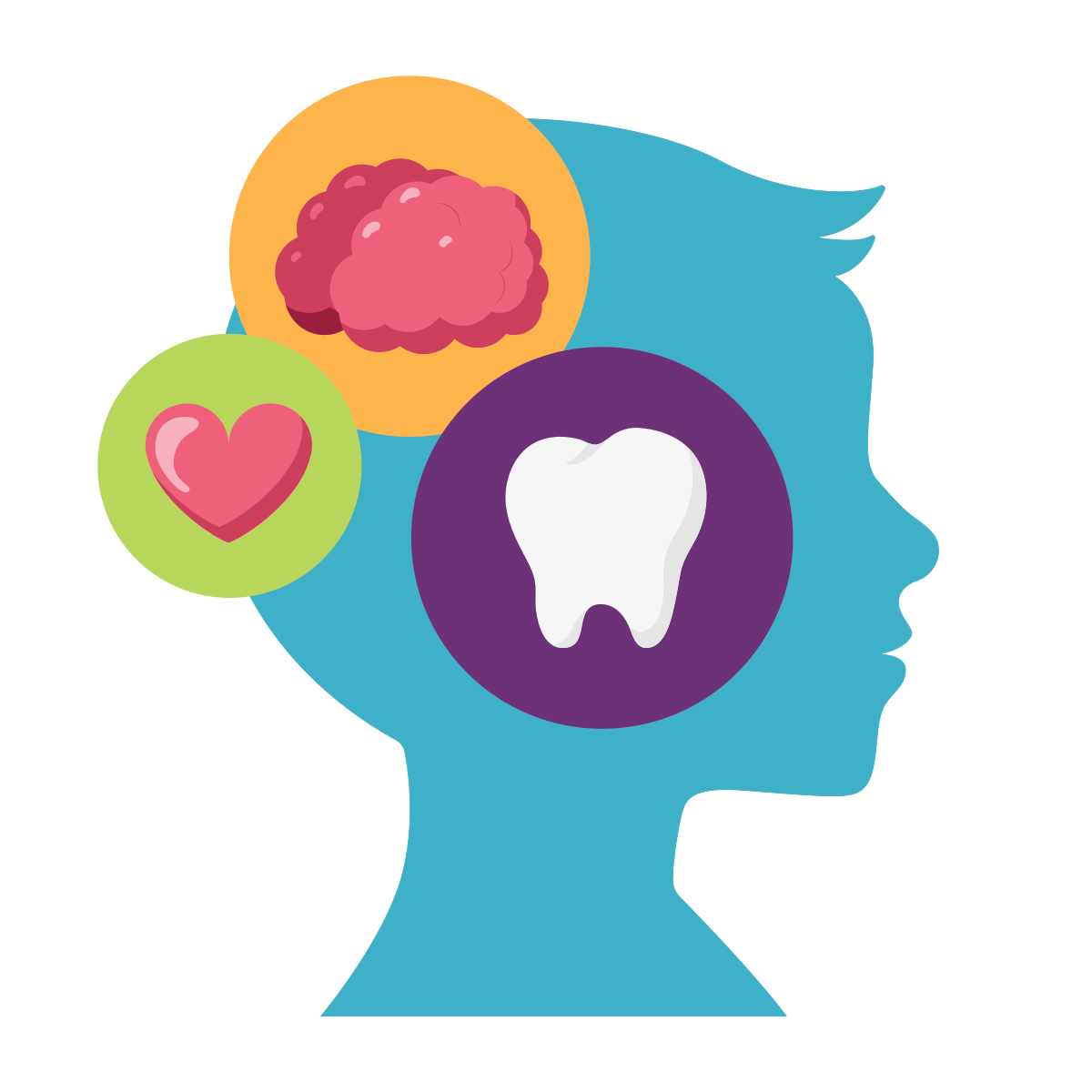 Advantage Dental+ photo 6