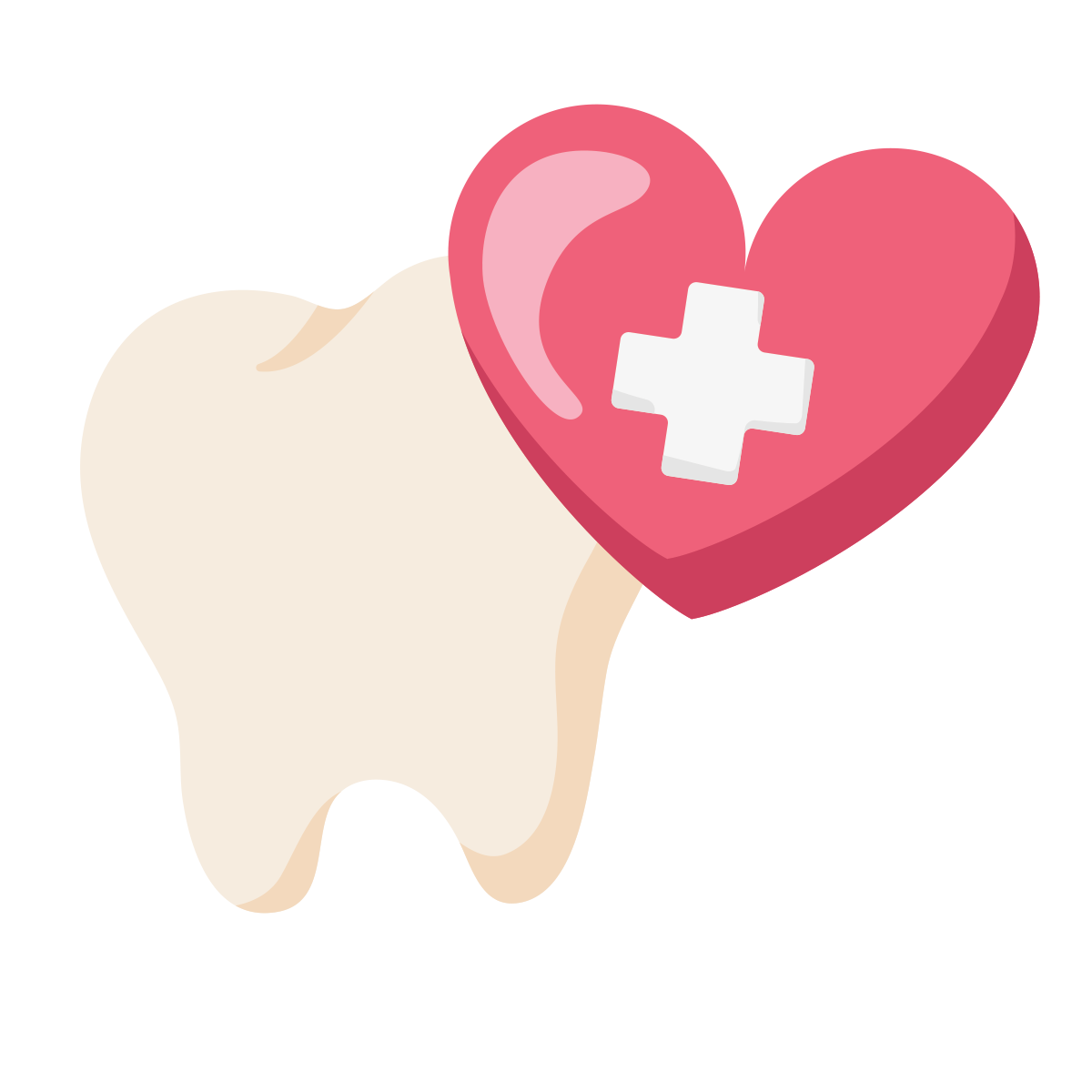 Advantage Dental+ photo 7