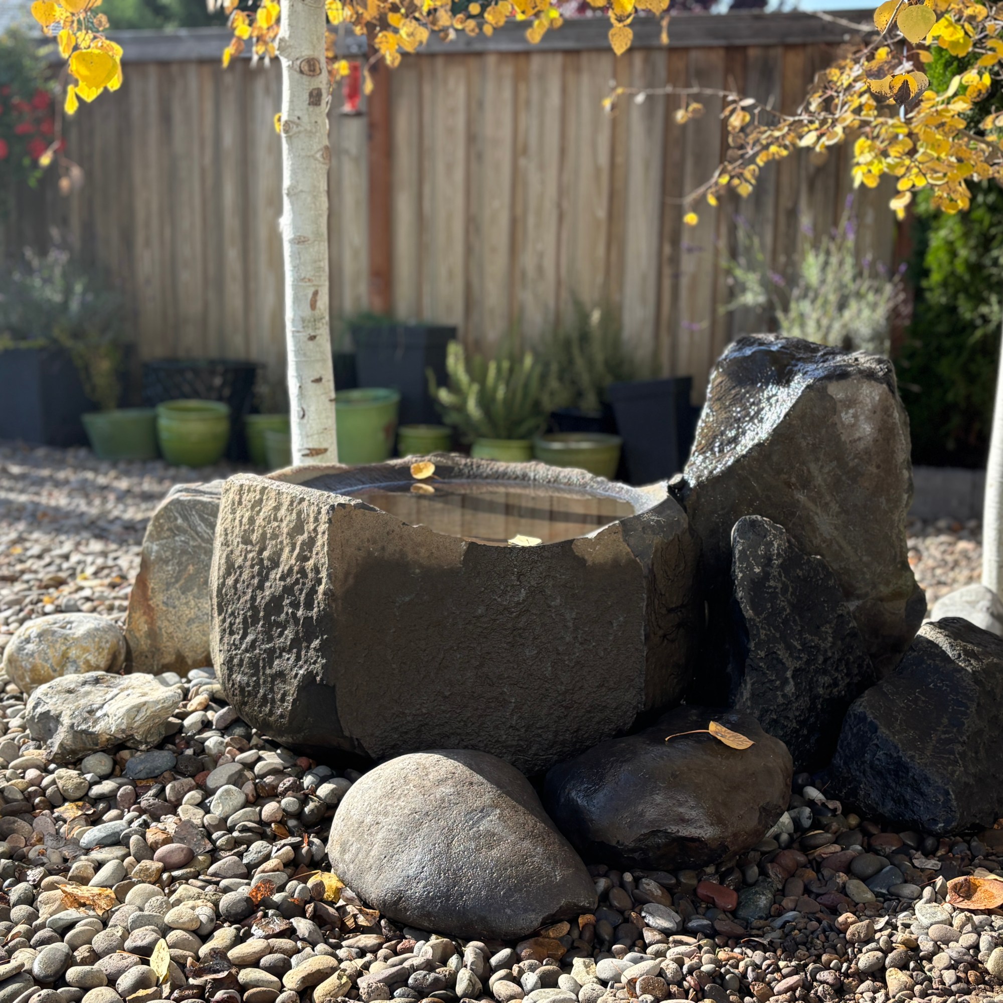 AG Landscape LLC & Spray Service photo 2
