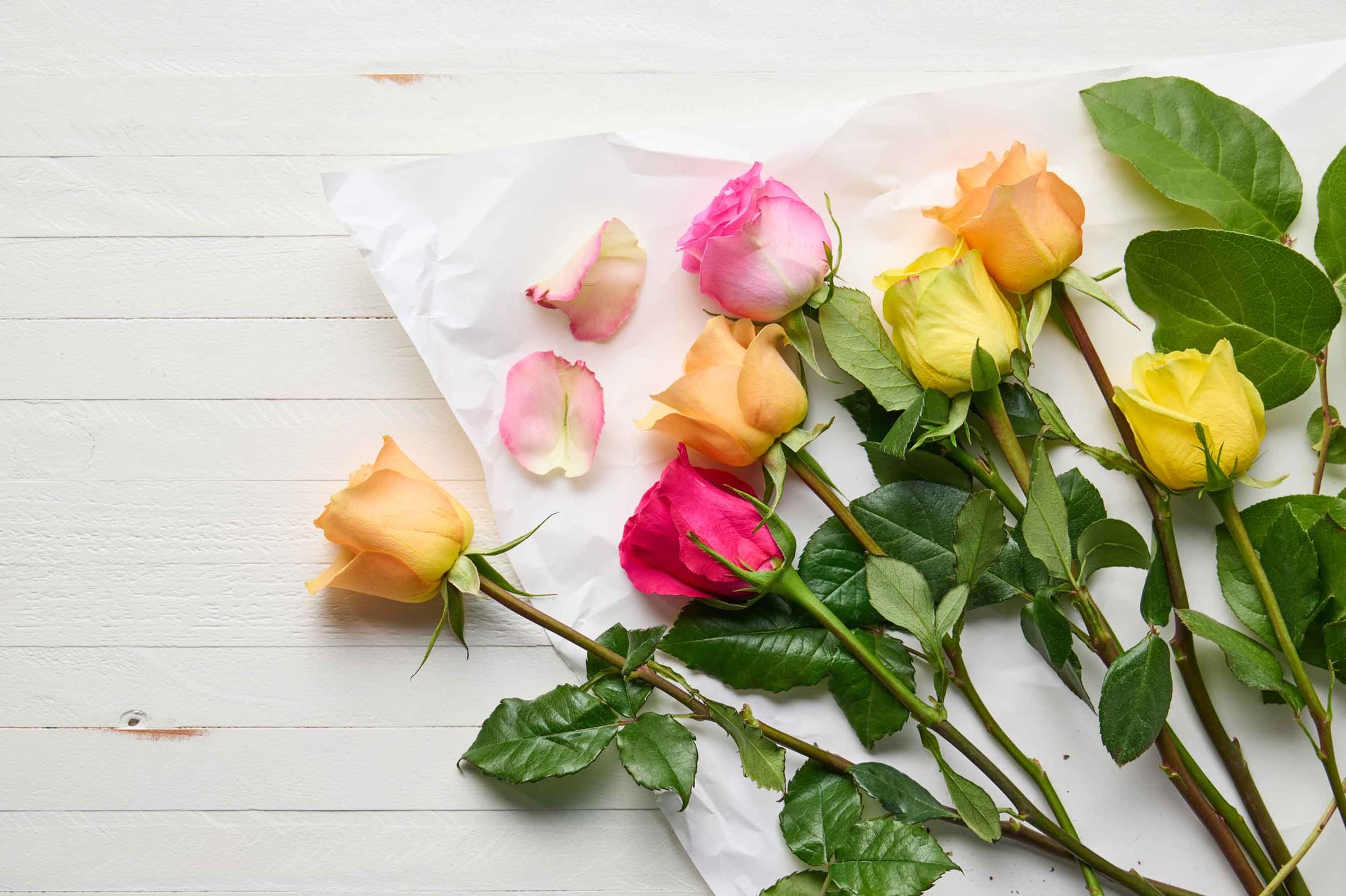 Albertsons Floral photo 4