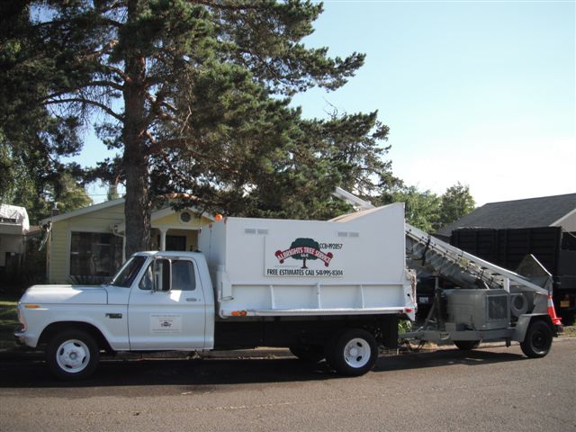 Albright’s Tree Service, Llc photo 2