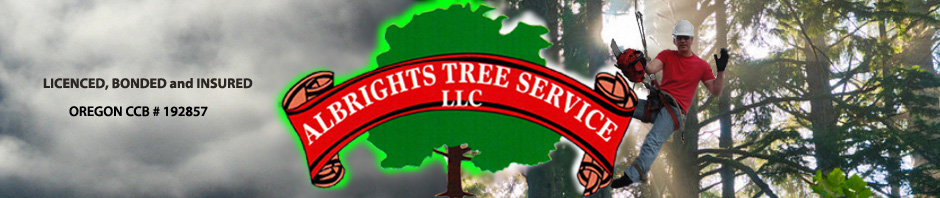 Albright’s Tree Service, Llc photo