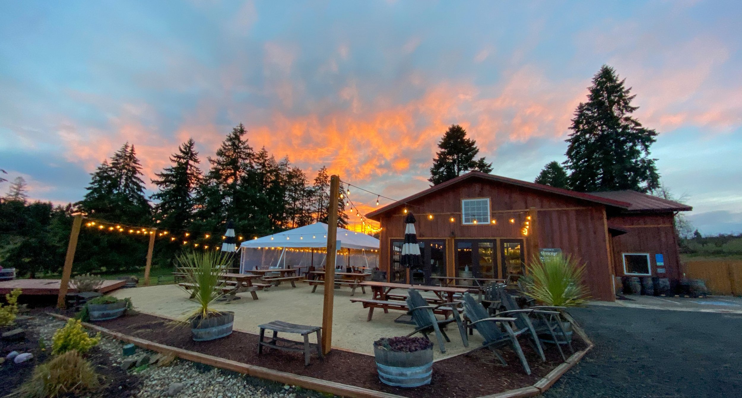 Alesong Brewing & Blending photo 9