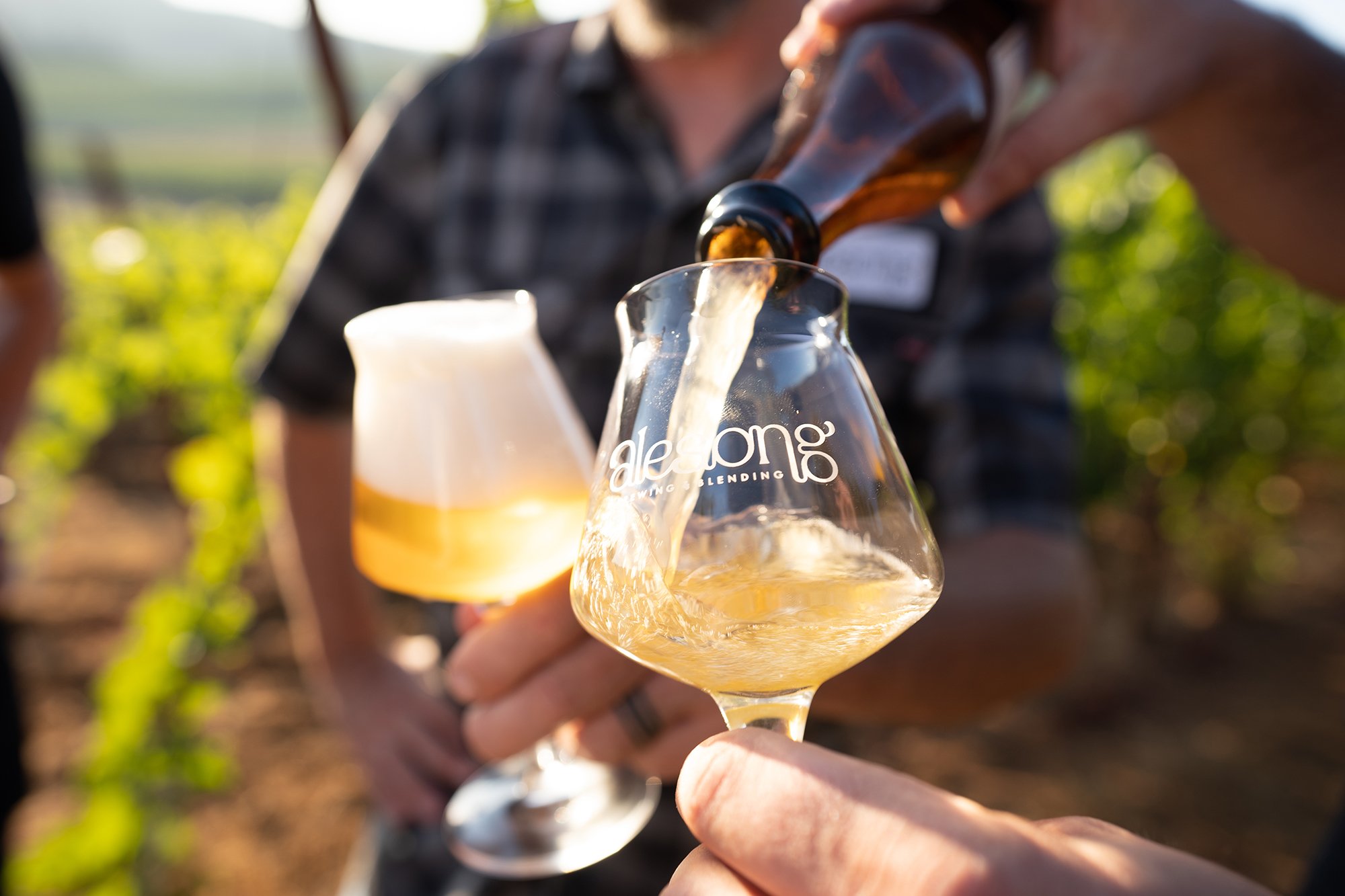 Alesong Brewing & Blending photo 11