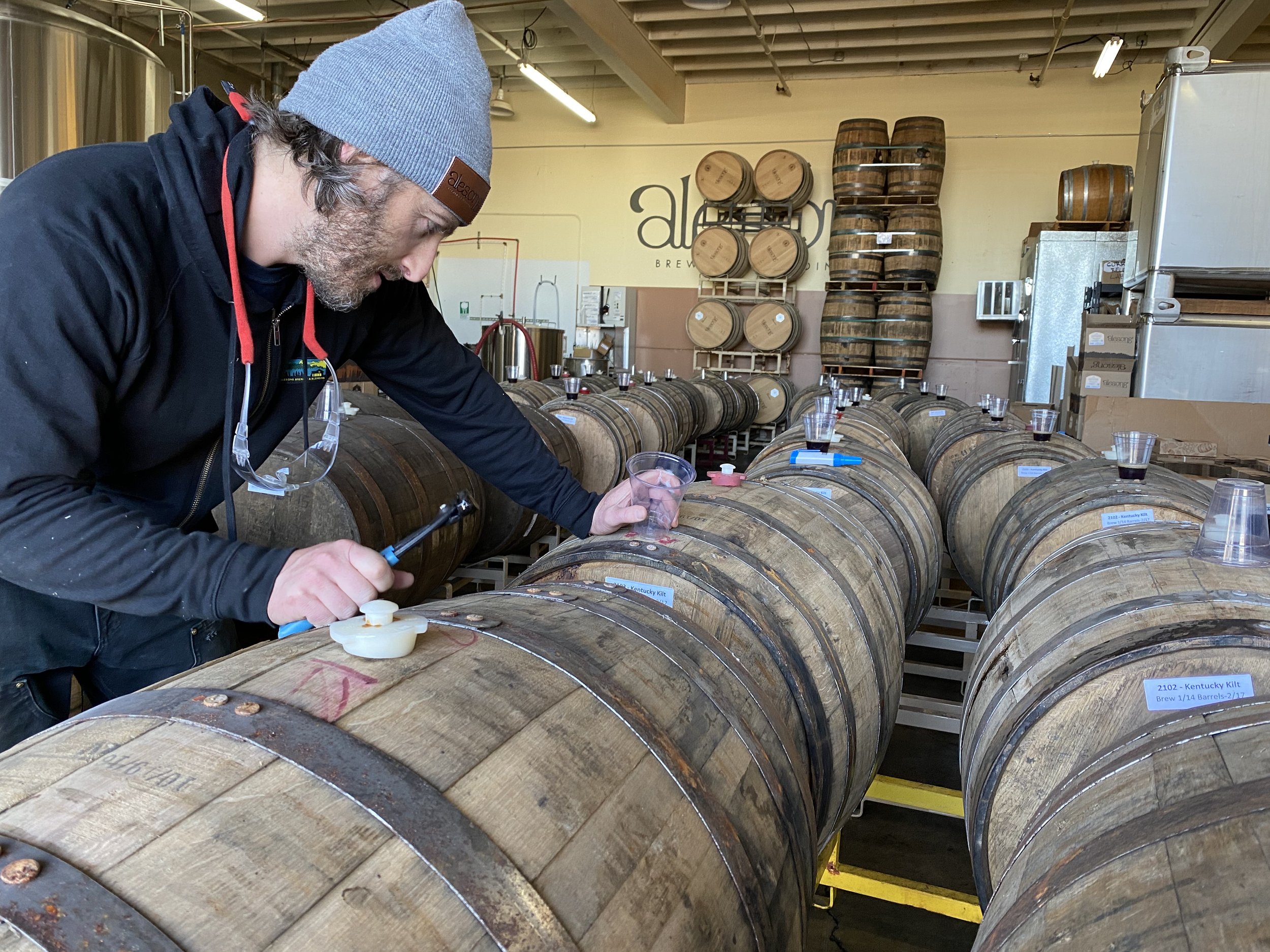 Alesong Brewing & Blending photo 12