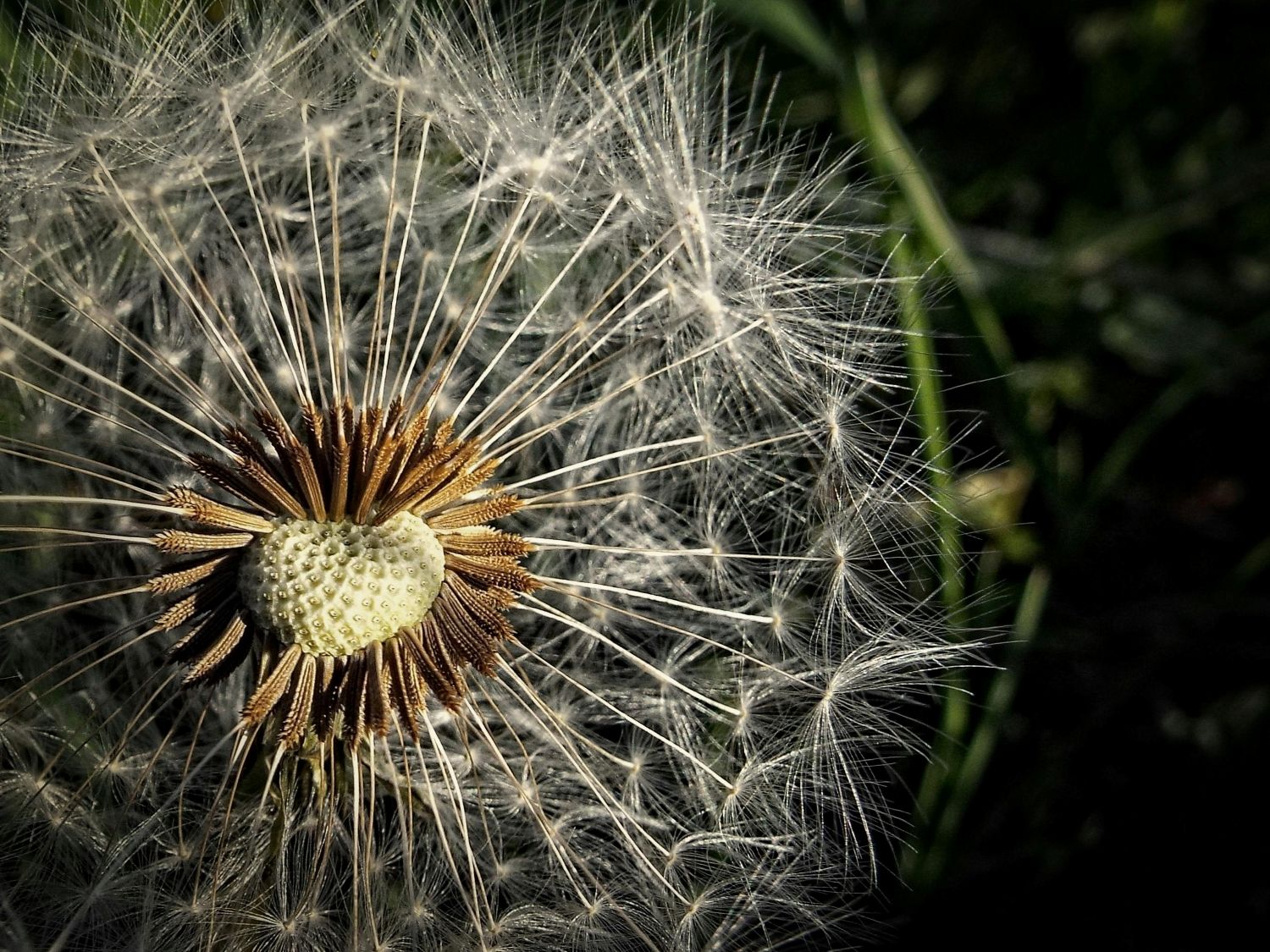 Alive Integrative Medicine photo 12