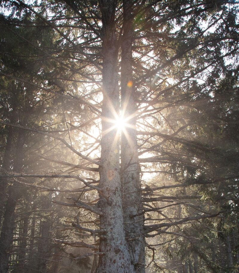 Alive Integrative Medicine photo 2