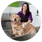 All American Pet photo 4