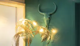 Alora Wellness & Spa photo 4