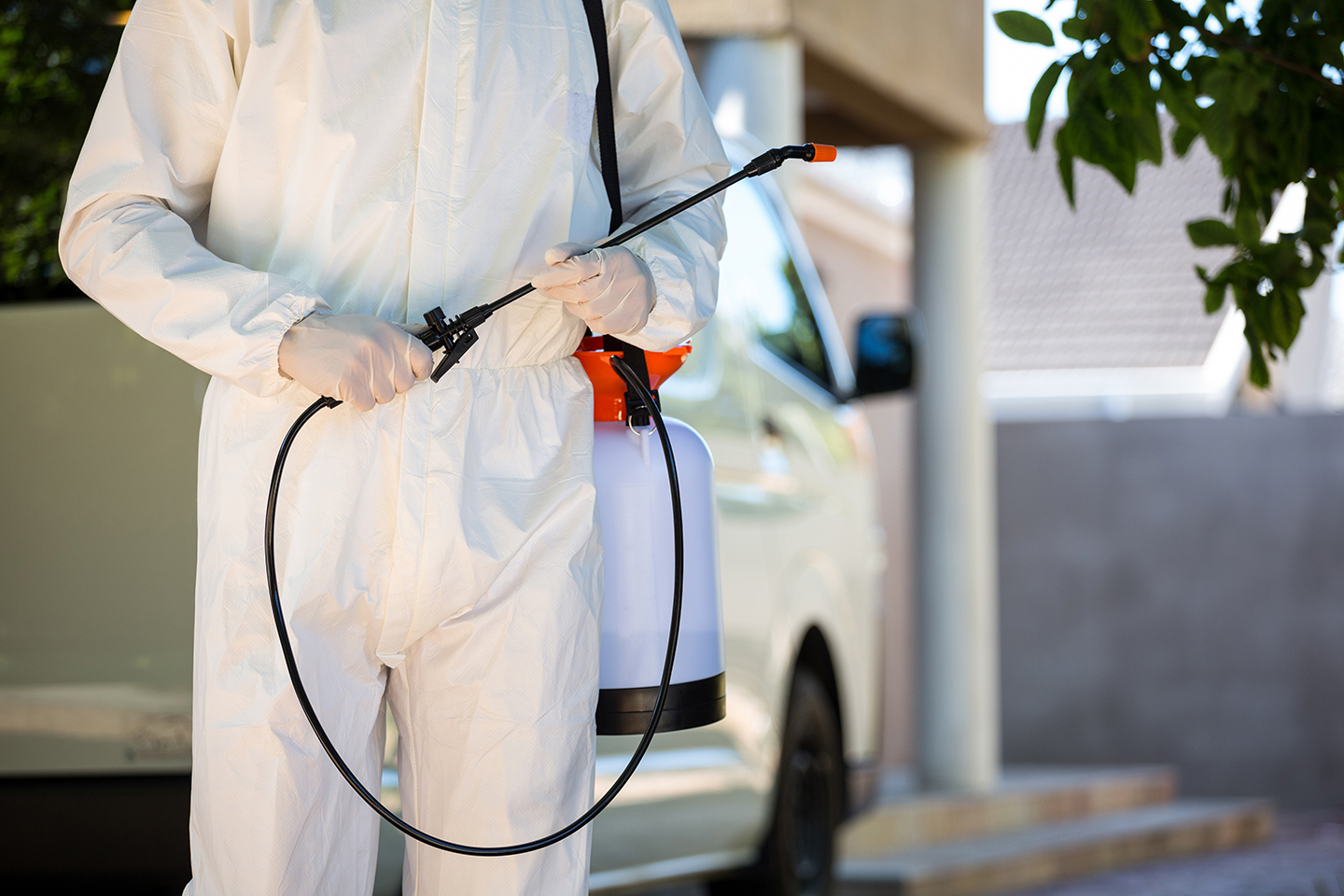 American Pest Management LLC photo 2