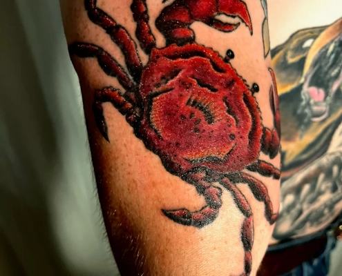 Anchored Ink Tattoo & Piercing by SPLAT LLC photo 11