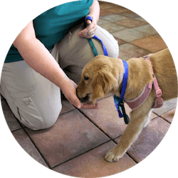 Animal Health Associates photo 2