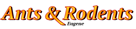 Ant & Rodent Pest Control Eugene photo