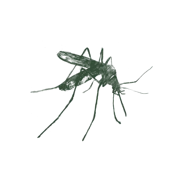 Aptive Pest Control photo 5