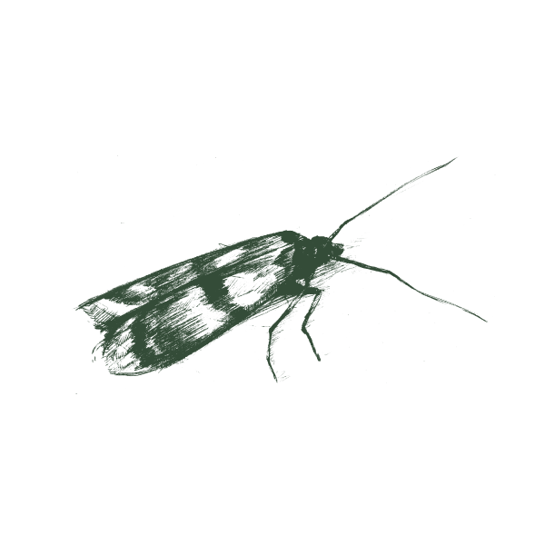Aptive Pest Control photo 6