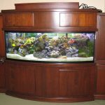 Aquariums Northwest photo 8