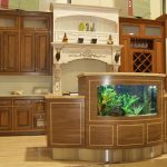 Aquariums Northwest photo 4