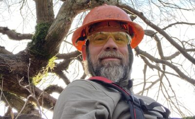 Artistic Arborist LLC photo 3
