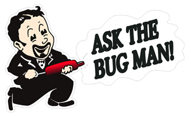 Ask The Bug Man photo