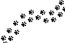 Bare Bones Dog Wash photo 3