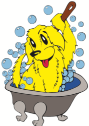 Bare Bones Dog Wash photo 2