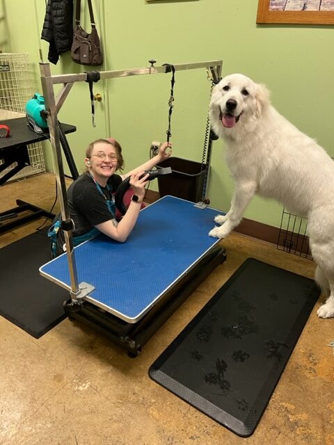 Bare Bones Dog Wash photo 12