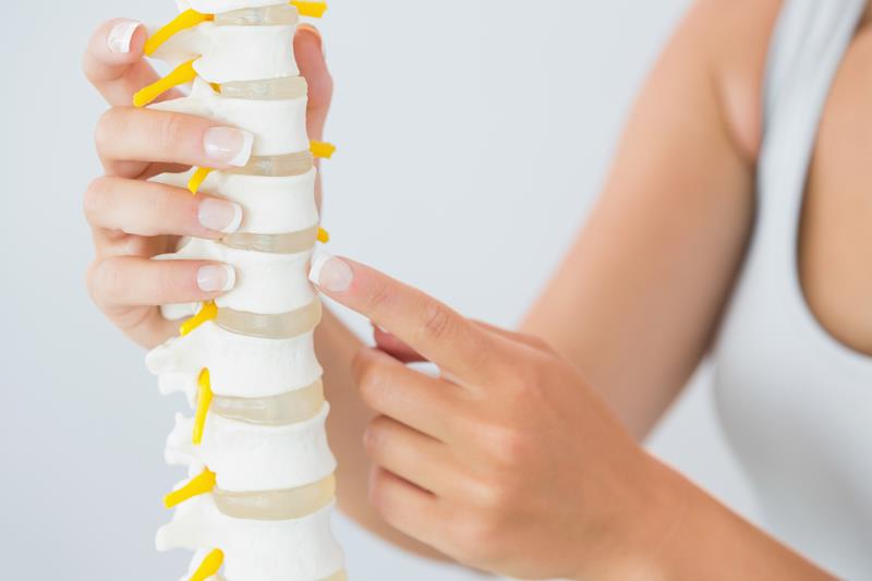 Benessere Chiropractic photo 7