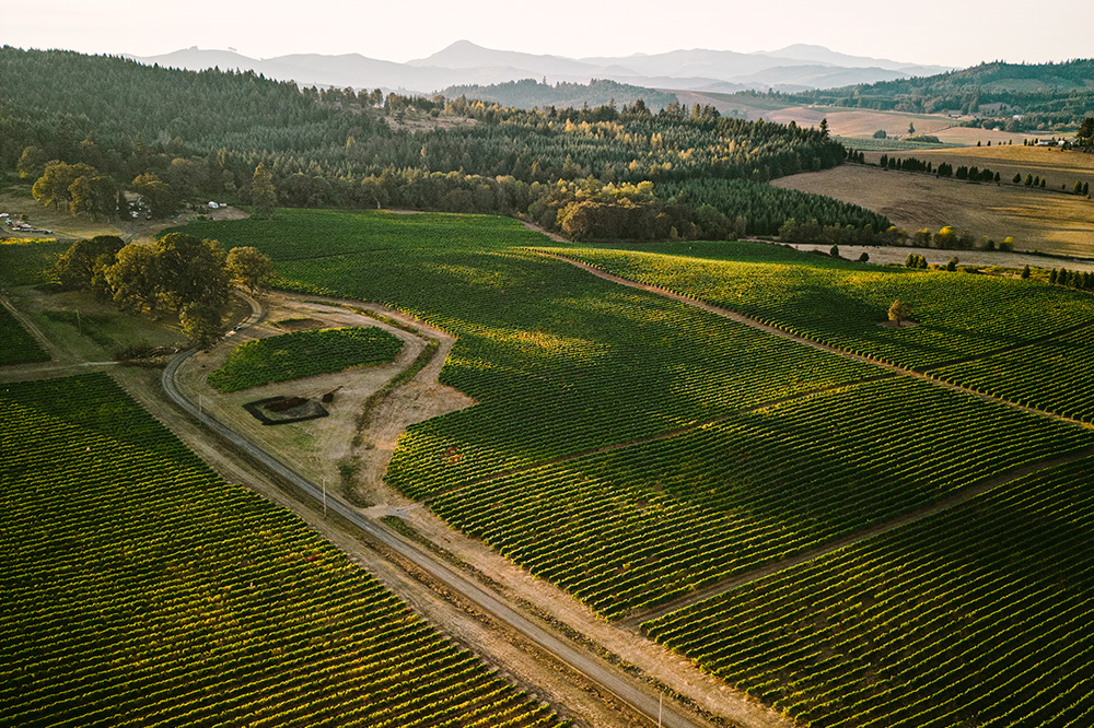 Benton-Lane Winery photo 6