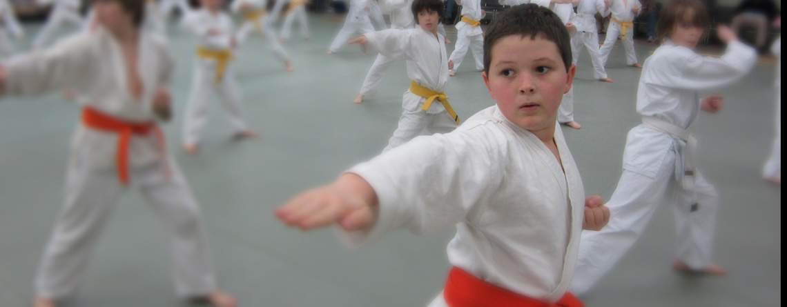 Best Martial Arts Institute photo