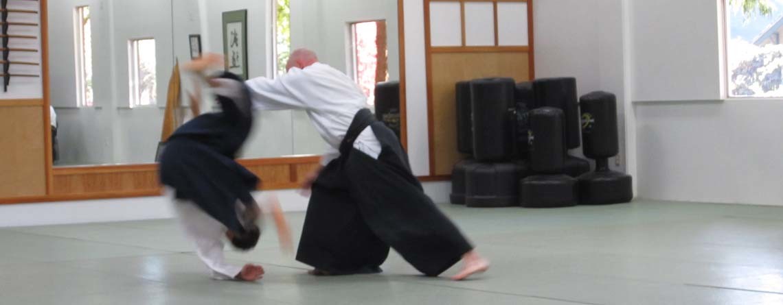 Best Martial Arts Institute photo 3