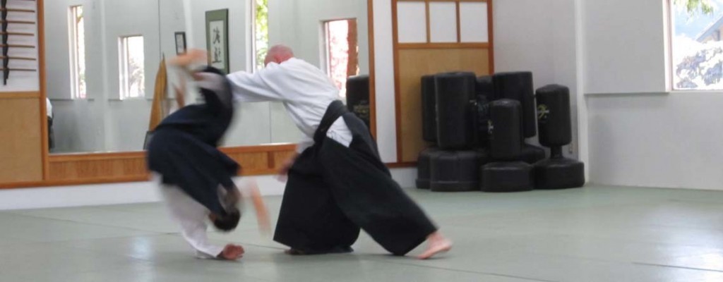 Best Martial Arts Institute photo 6
