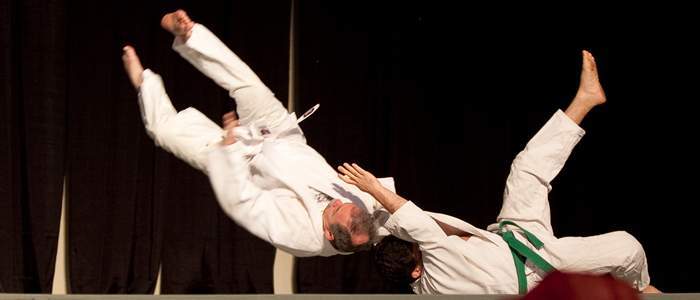 Best Martial Arts Institute photo 7