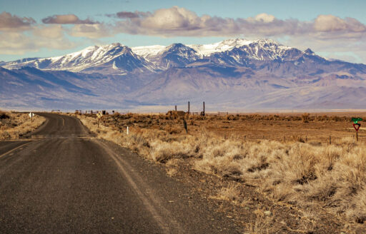 Bicycle Way of Life photo 3