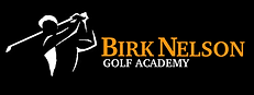Birkenstick Golf photo