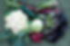Bosch Nutrition photo 9