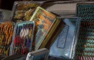 Caddis Fly Angling Shop photo 7