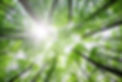 Carvalho Landscaping, LLC photo 3
