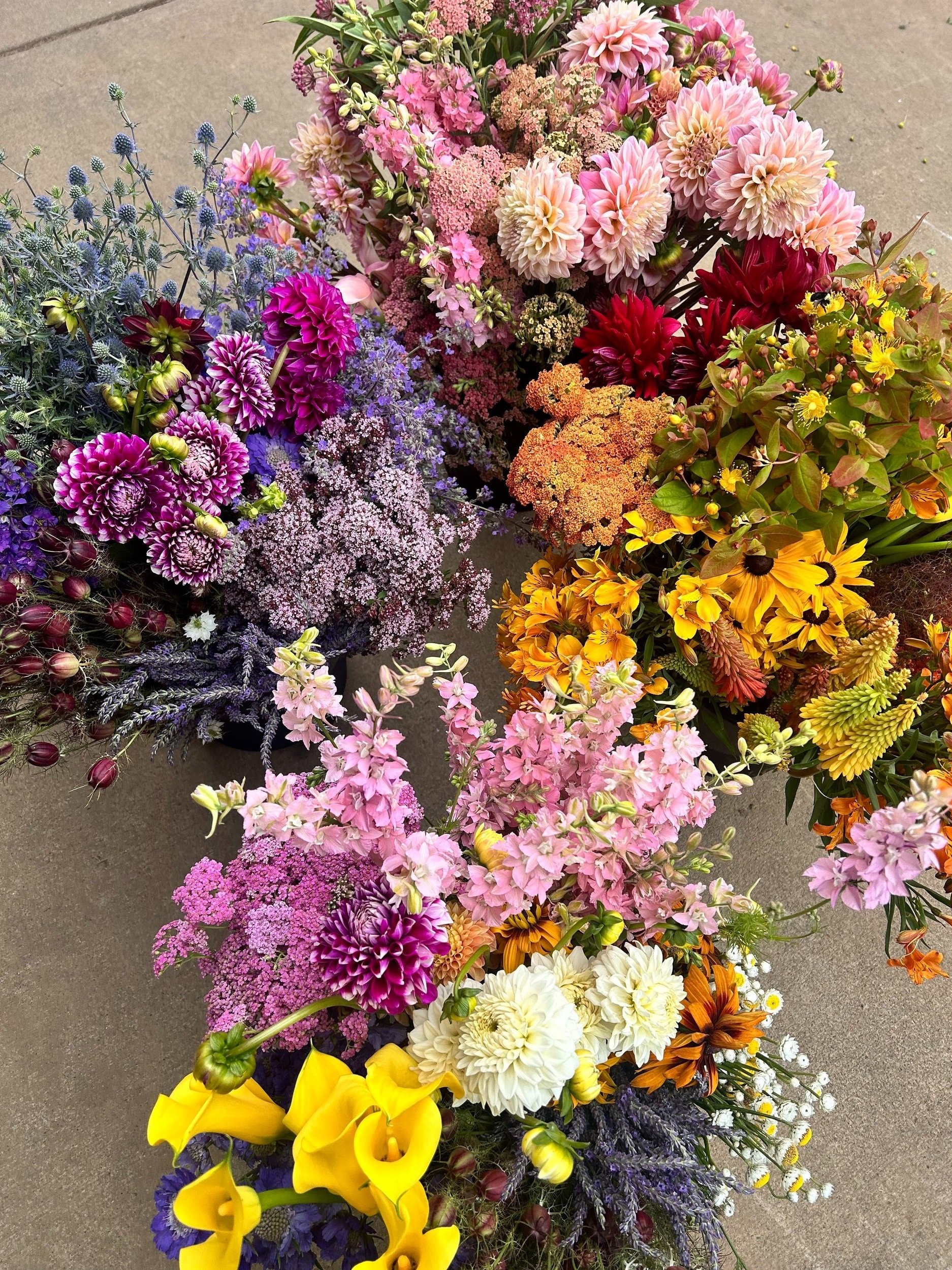 Charles Little & Company, Flower Farm- Seavey Loop Road photo 5