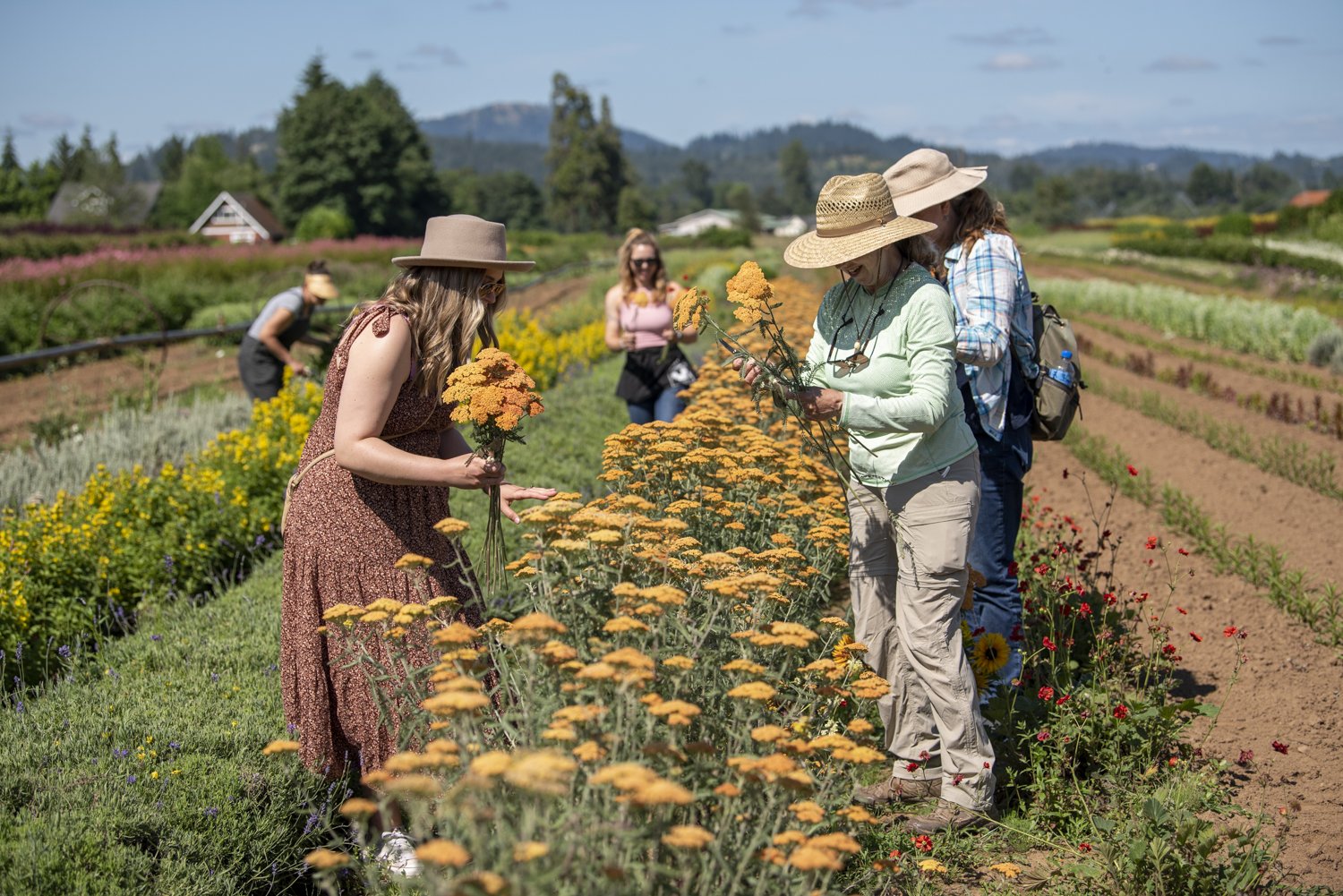 Charles Little & Company, Flower Farm- Seavey Loop Road photo 11