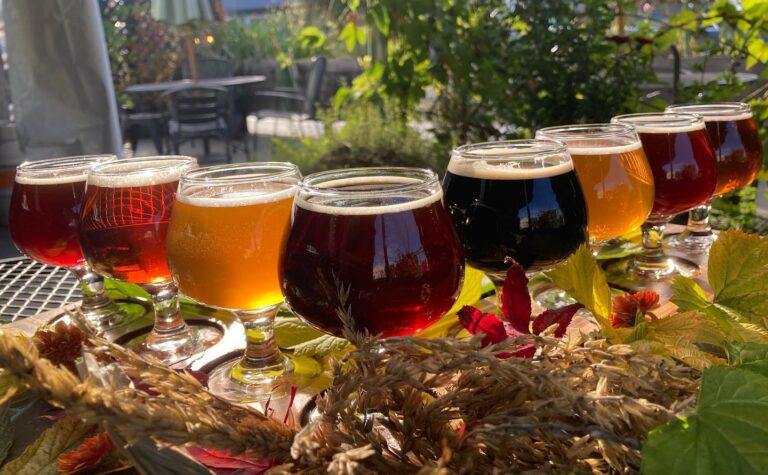 Coast Fork Brewing – Brewstation and Feed photo 5