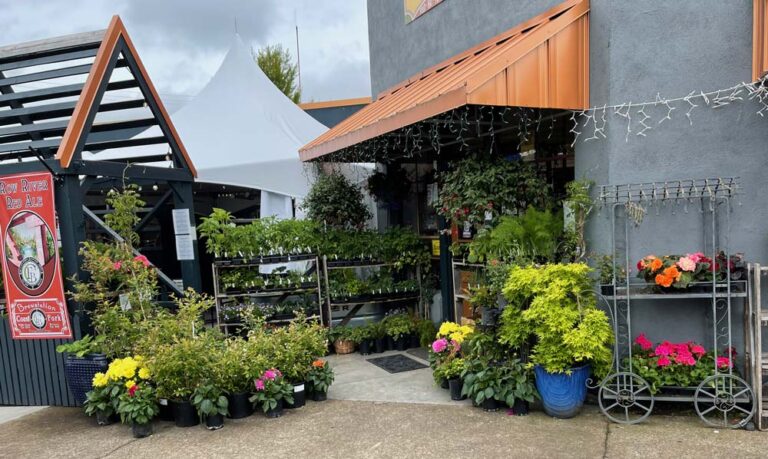 Coast Fork Brewing – Brewstation and Feed photo 4