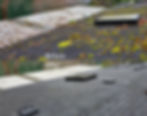 Coastal Home Services photo 6