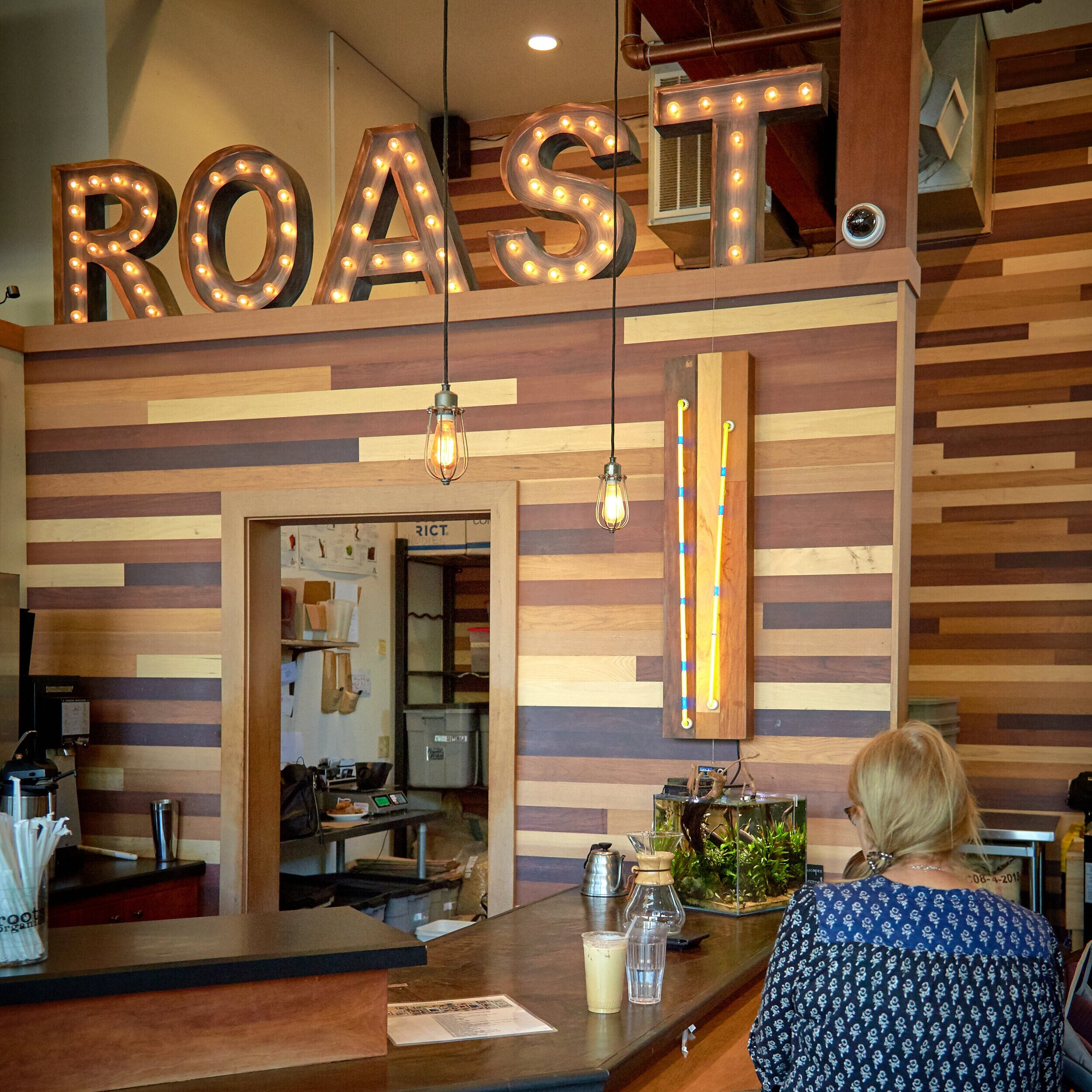 Coffee Plant Roaster photo 7