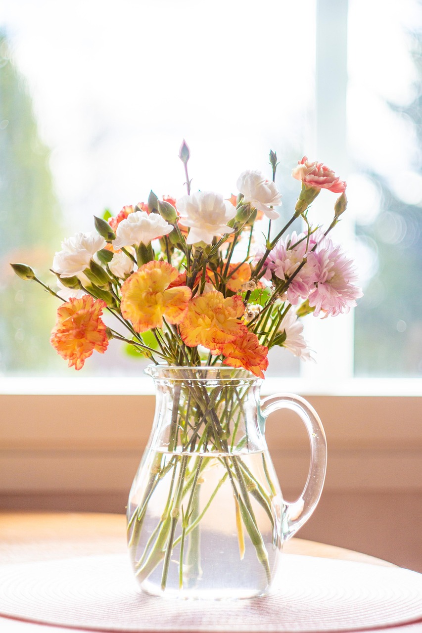 Crema and Bloom photo 8